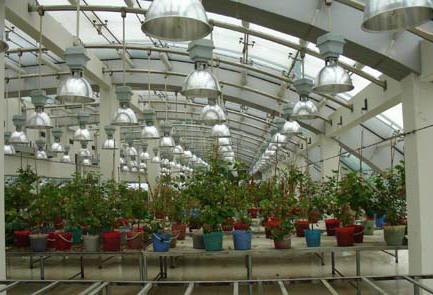 江南電子儀器廠 創新引領，打造電子設備智造新高地